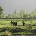 Nubra valley pictures