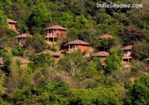 Sharavathi Adventure Camp - Jungle Lodges Resorts Karnataka