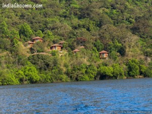 Sharavathi Adventure Camp - Jungle Lodges and Resorts