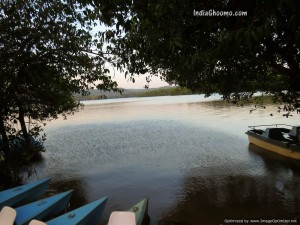 Sharavathi Adventure Camp -Water Activities