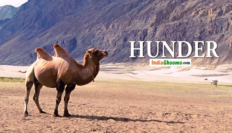 Ladakh Nubra Valley Hunder
