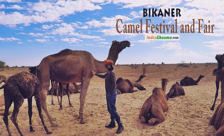 Bikaner Camel Festival and Fair