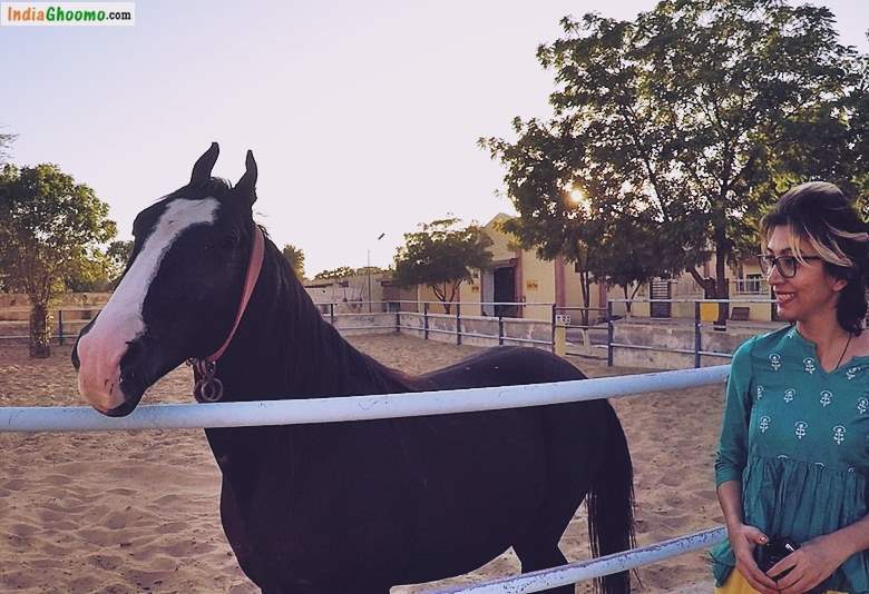 National Research Centre on Equines Bikaner Rajasthan
