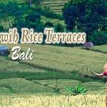 Jatiluwih Rice Terraces Bali Unesco