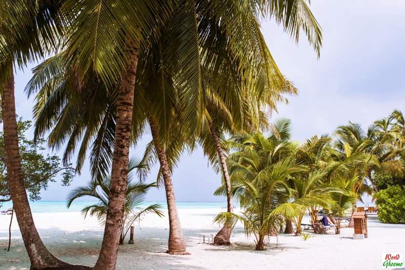 Maldives Travel Guide Things to do