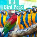 Bali Bird Park