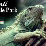 Bali Reptile Park Guide