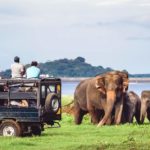 sri lanka tourism