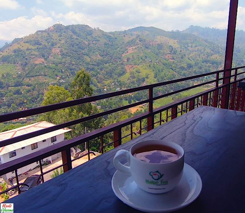 Ella, Sri Lanka Everything You Need To Know — World Ghoomo